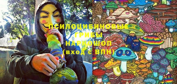 дурь Алексеевка