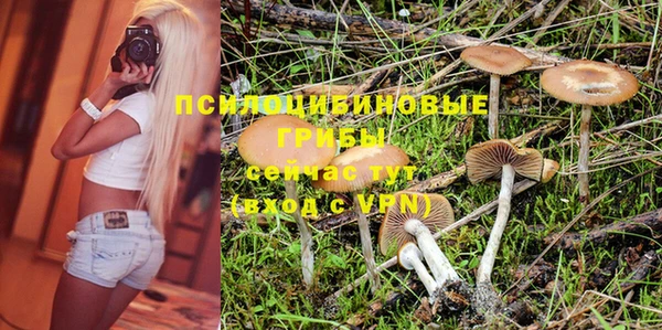 a pvp Алзамай