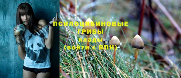 соль курить ск Алексин