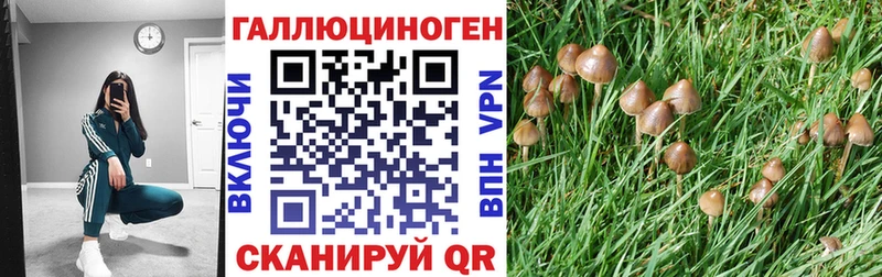 как найти закладки  Лодейное Поле  Псилоцибиновые грибы Psilocybe 
